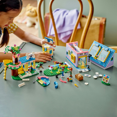 Adapost pentru caini [3]