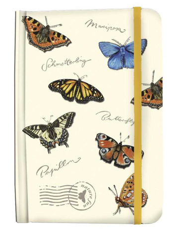 Arta - Agenda Fluturi, Fridolin