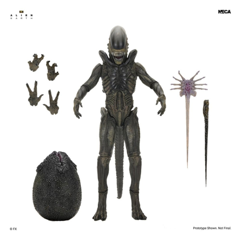 PRECOMENZI - Alien: Earth Ultimate Action Figure Xenomorph 18 cm