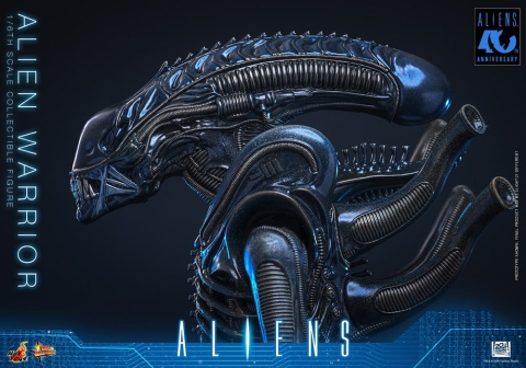 Alien Movie Masterpiece Action Figure 1/6 Alien Warrior 39 cm [8]