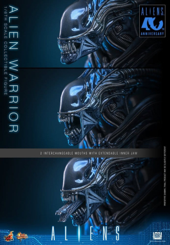 Alien Movie Masterpiece Action Figure 1/6 Alien Warrior 39 cm [10]