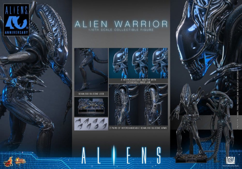Alien Movie Masterpiece Action Figure 1/6 Alien Warrior 39 cm [16]