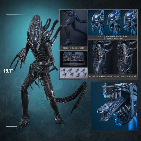 Alien Movie Masterpiece Action Figure 1/6 Alien Warrior 39 cm [17]
