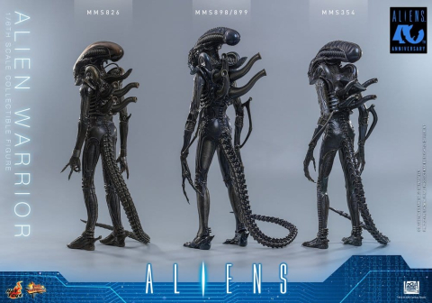 Alien Movie Masterpiece Action Figure 1/6 Alien Warrior 39 cm [15]