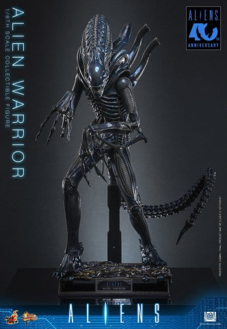 Alien Movie Masterpiece Action Figure 1/6 Alien Warrior 39 cm [9]