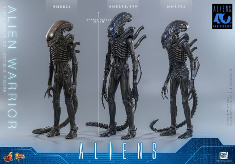 Alien Movie Masterpiece Action Figure 1/6 Alien Warrior 39 cm [13]
