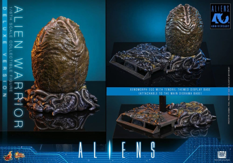 Alien Movie Masterpiece Action Figure 1/6 Alien Warrior (Deluxe Version) 39 cm [12]