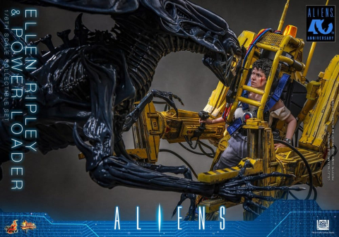 Alien Movie Masterpiece Figure Set 1/6 Ellen Ripley and Power Loader 52 cm [10]