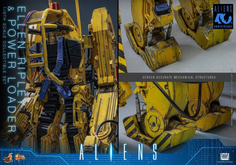 Alien Movie Masterpiece Figure Set 1/6 Ellen Ripley and Power Loader 52 cm [11]
