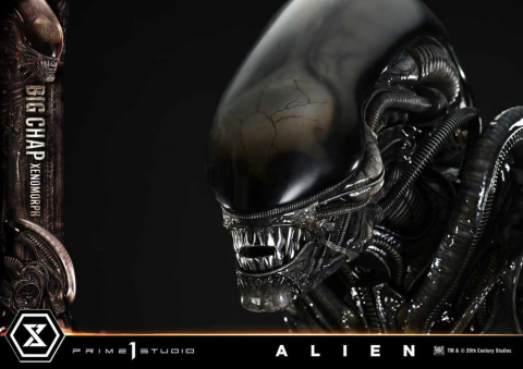 Alien Museum Masterline XL Statue 1/3 Big Chap Xenomorph Regular Ver. Bonus Version 100 cm [15]