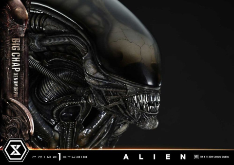 Alien Museum Masterline XL Statue 1/3 Big Chap Xenomorph Regular Ver. Bonus Version 100 cm [16]