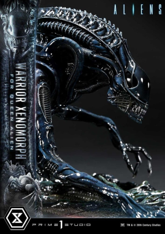 Aliens (Film) Ultimate Diorama Masterline Statue Warrior Xenomorph for Queen Alien 23 cm [17]