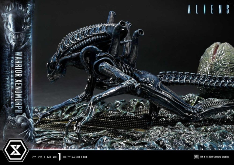 Aliens (Film) Ultimate Diorama Masterline Statue Warrior Xenomorph for Queen Alien 23 cm [10]
