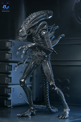 Aliens Ultimate Action Figure Warrior (1986) Xenomorph Black (40th Anniversary) 23 cm [4]