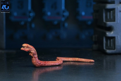 Aliens Ultimate Action Figure Warrior (1986) Xenomorph Black (40th Anniversary) 23 cm [8]