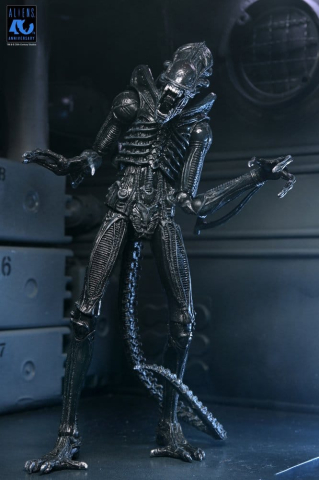 Aliens Ultimate Action Figure Warrior (1986) Xenomorph Black (40th Anniversary) 23 cm [3]