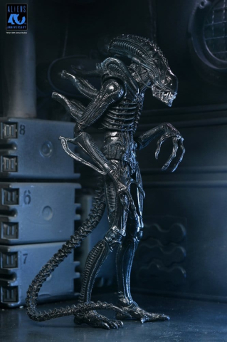 Aliens Ultimate Action Figure Warrior (1986) Xenomorph Black (40th Anniversary) 23 cm [12]