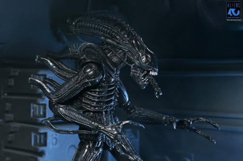 Aliens Ultimate Action Figure Warrior (1986) Xenomorph Black (40th Anniversary) 23 cm [10]