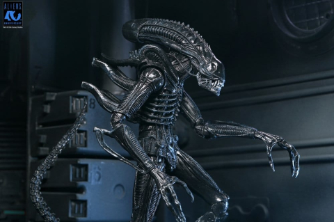 Aliens Ultimate Action Figure Warrior (1986) Xenomorph Black (40th Anniversary) 23 cm [15]