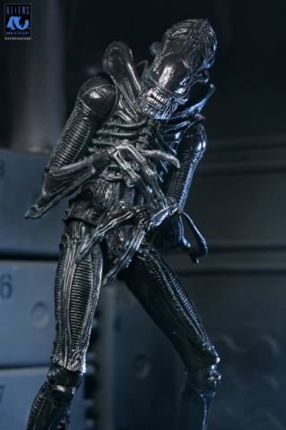 Aliens Ultimate Action Figure Warrior (1986) Xenomorph Black (40th Anniversary) 23 cm [5]