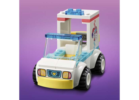 Ambulanta de Animale [4]