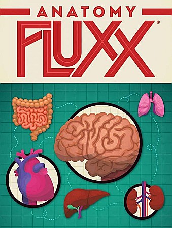 Board Games - Anatomy Fluxx