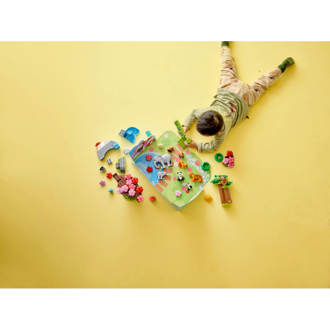 Animale din Asia [3]