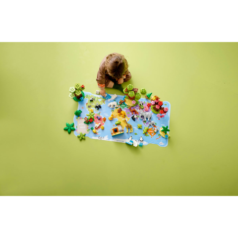 Animale din intreaga lume [3]