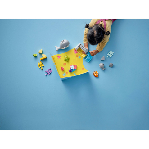 Animale din Ocean [3]