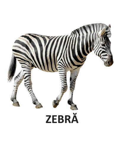 Animale salbatice – Carte pliata cartonata 0-2 ani DPH [3]