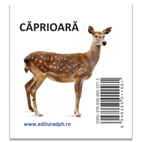 Animale salbatice – Carte pliata cartonata 0-2 ani DPH [1]