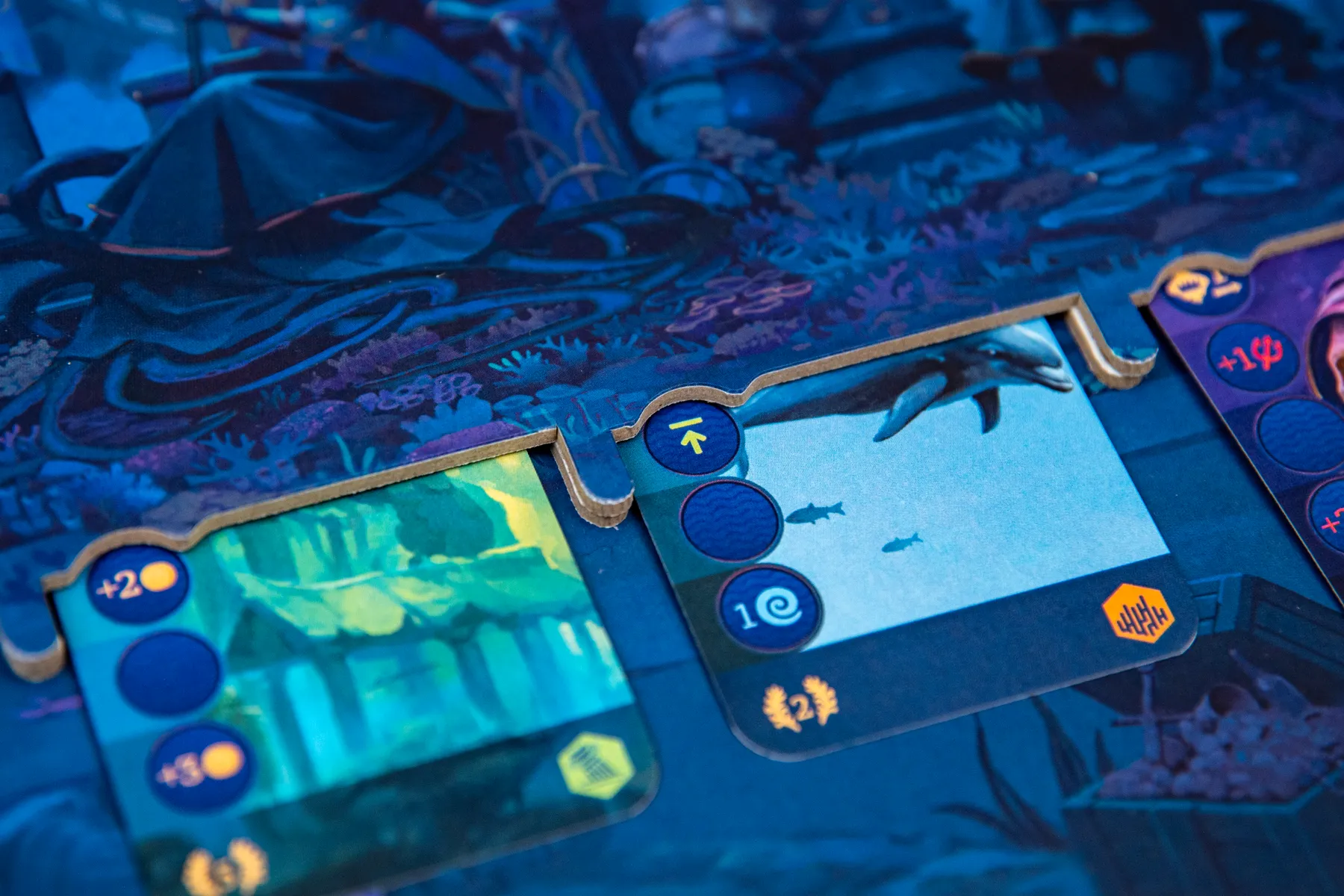 Aquatica Duellum [5]