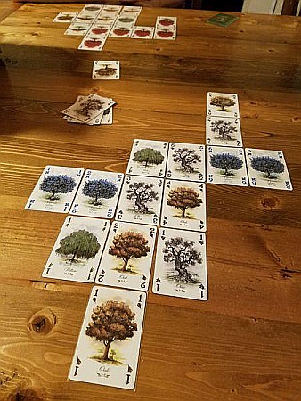 Arboretum [1]