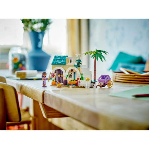 Asha in orasul rozelor [5]