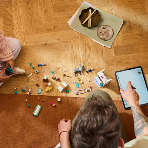 Aventura pe sanie a Annei [5]