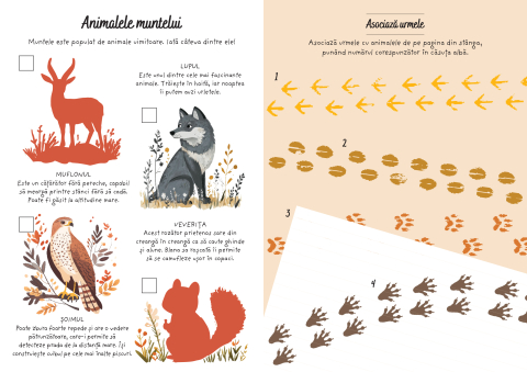 Aventuri la munte – Activitati si abtibilduri 3+ ani DPH [4]