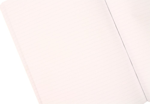 Casa si Cadouri - Back to the Future Premium Notebook Sports Almanac