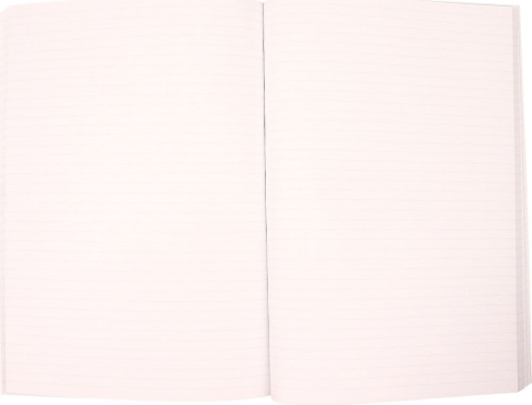 Back to the Future Premium Notebook Sports Almanac [1]