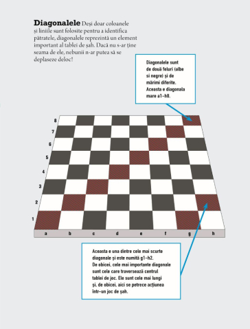 Biblia jucatorului de sah [5]