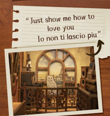 Book Nook The Secret Rhythm 23 x 11 cm [12]