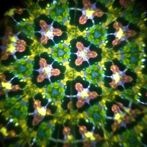 Caleidoscop rotativ Pasari din padure, Svoora [2]