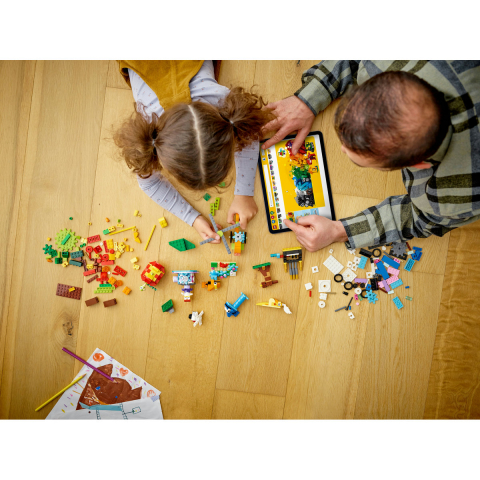 Caramizi si Functii [3]