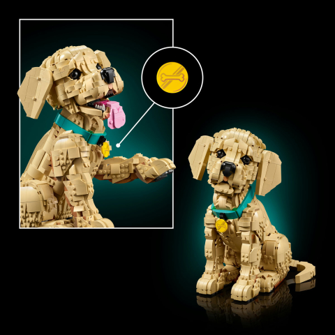 LEGO Icons Căeluț Golden Retriever (11384) [1]