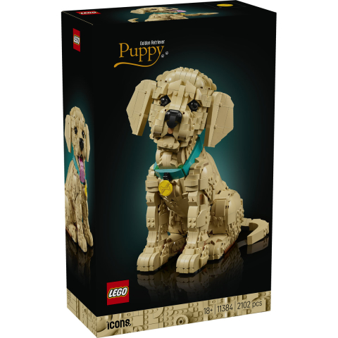 LEGO Icons (Creator Expert) - LEGO Icons Căeluț Golden Retriever (11384)