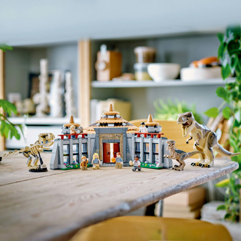 Centru pentru turisti: T.rex si Raptor [5]