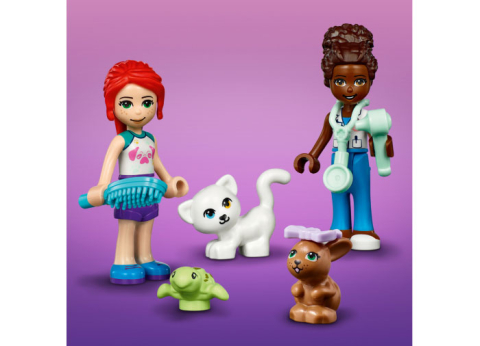 Clinica de animale [6]