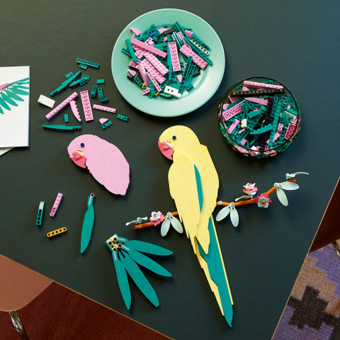 Colectia de fauna - Papagali Ara [3]