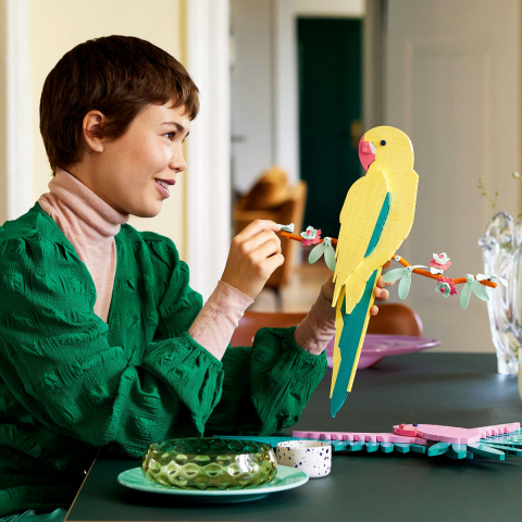 Colectia de fauna - Papagali Ara [4]