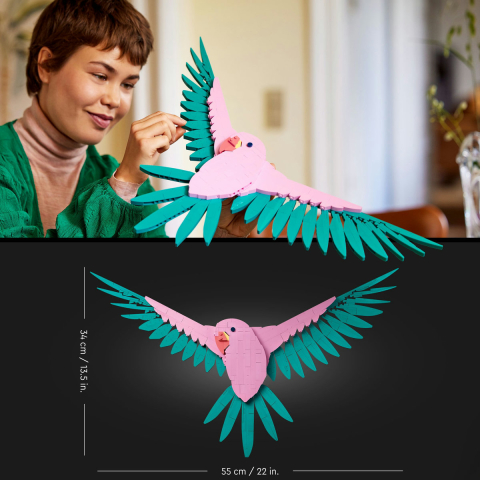 Colectia de fauna - Papagali Ara [9]