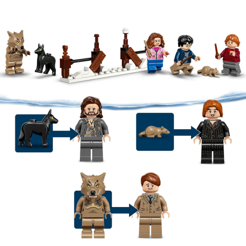 Conacul Bantuit si Salcia Batausa [9]